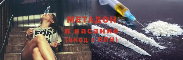 стаф Алзамай