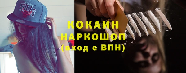 стаф Алзамай